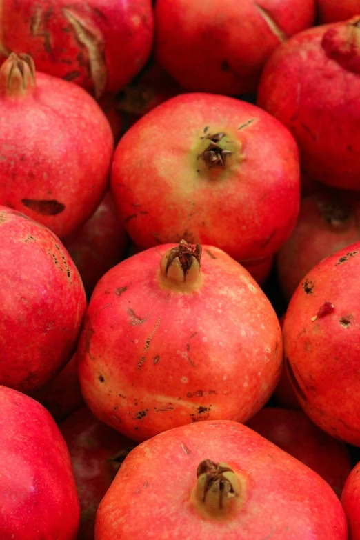 apples in a pile with their tops down