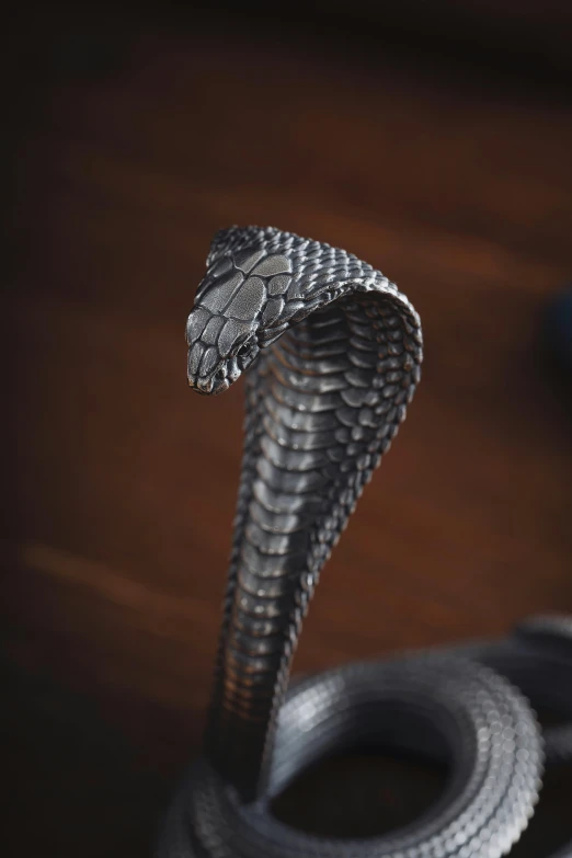 a snake is wrapped around a black rope