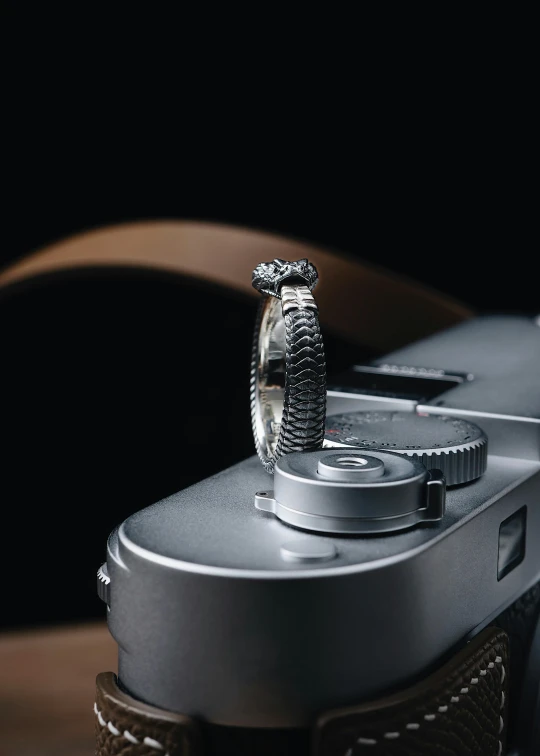 a silver ring with a snake on it on a silver camera