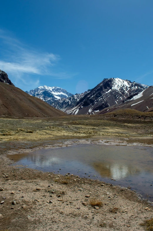 the landscape looks great with the snowy mountains in the distance