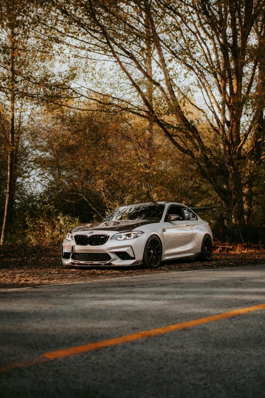 a white car parked in front of a large tree