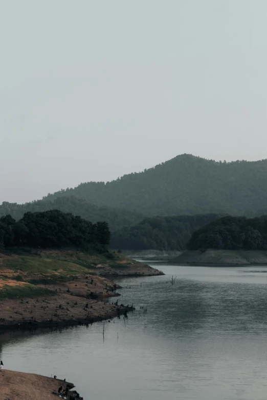 a couple of birds are sitting on the bank of a river