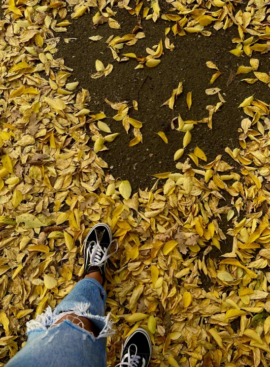 a person with their feet in the leaves and wearing tennis shoes