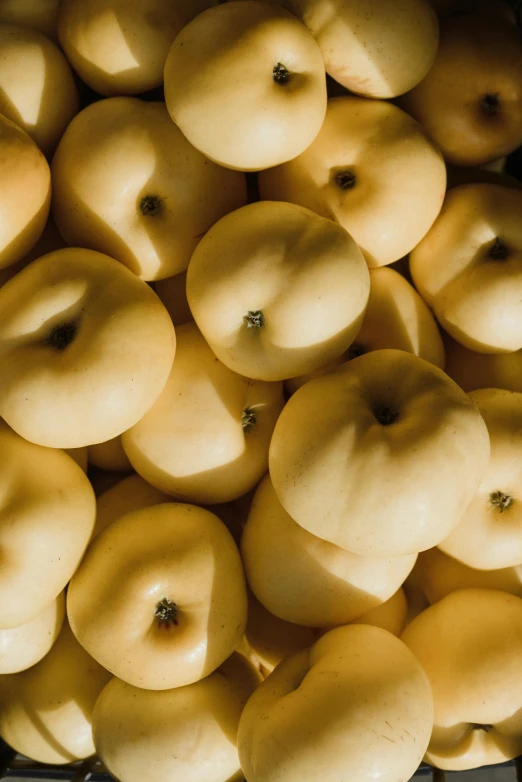 the top view of apples with yellow colored leaves