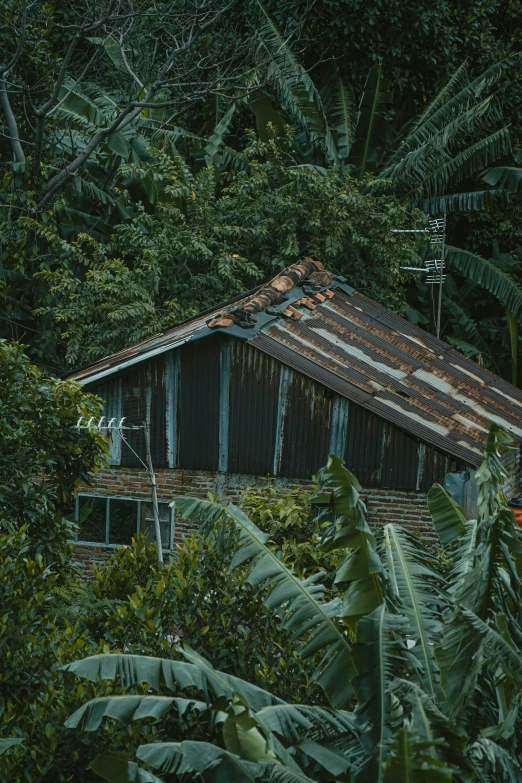 a wooden shack surrounded by trees and other greenery