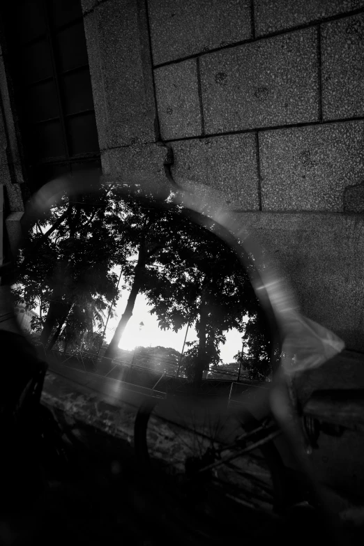 an image of the trees in the mirror of a vehicle