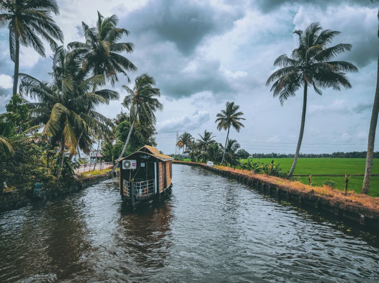 a boat traveling down the river with palm trees in the background