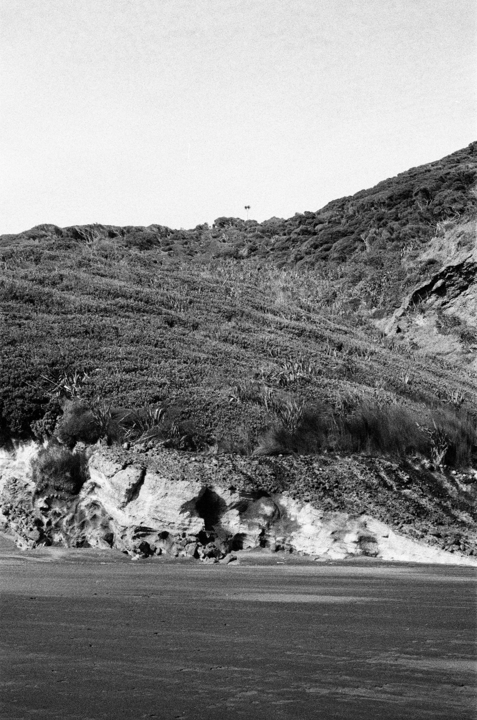 the black and white pograph shows a mountain with a lone bird