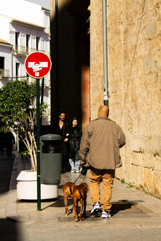 people walking past a no parking sign with a dog on it