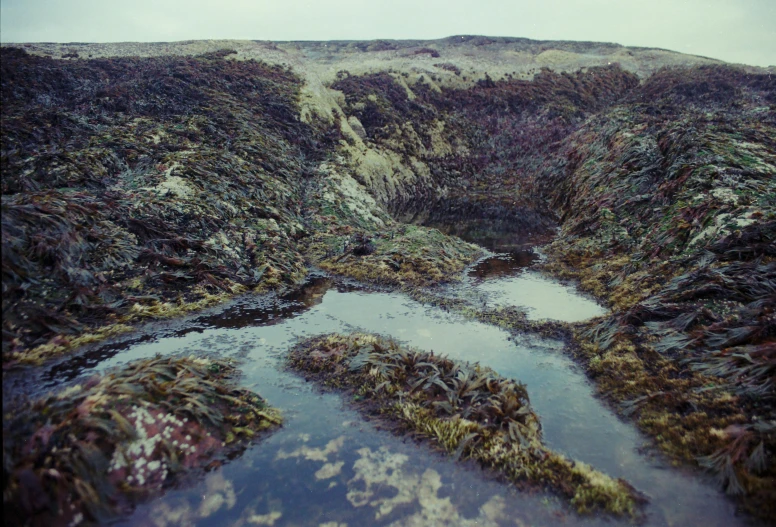 a wide, narrow river cuts through a barren landscape