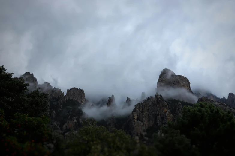 a foggy scene with trees on the top of rocks