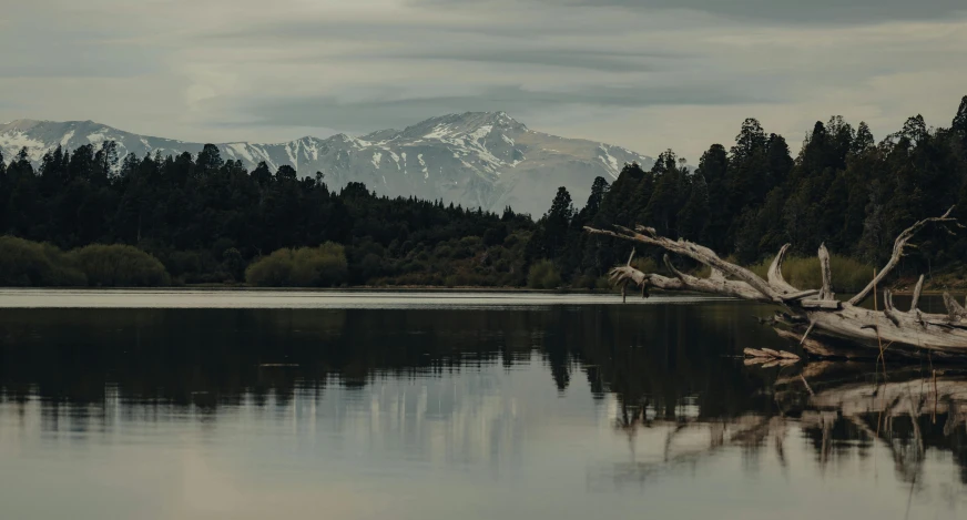 the water in the lake reflects off the trees with mountains behind it