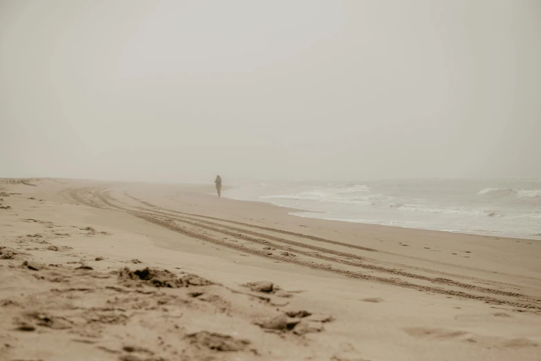 a person walking along a beach near the ocean