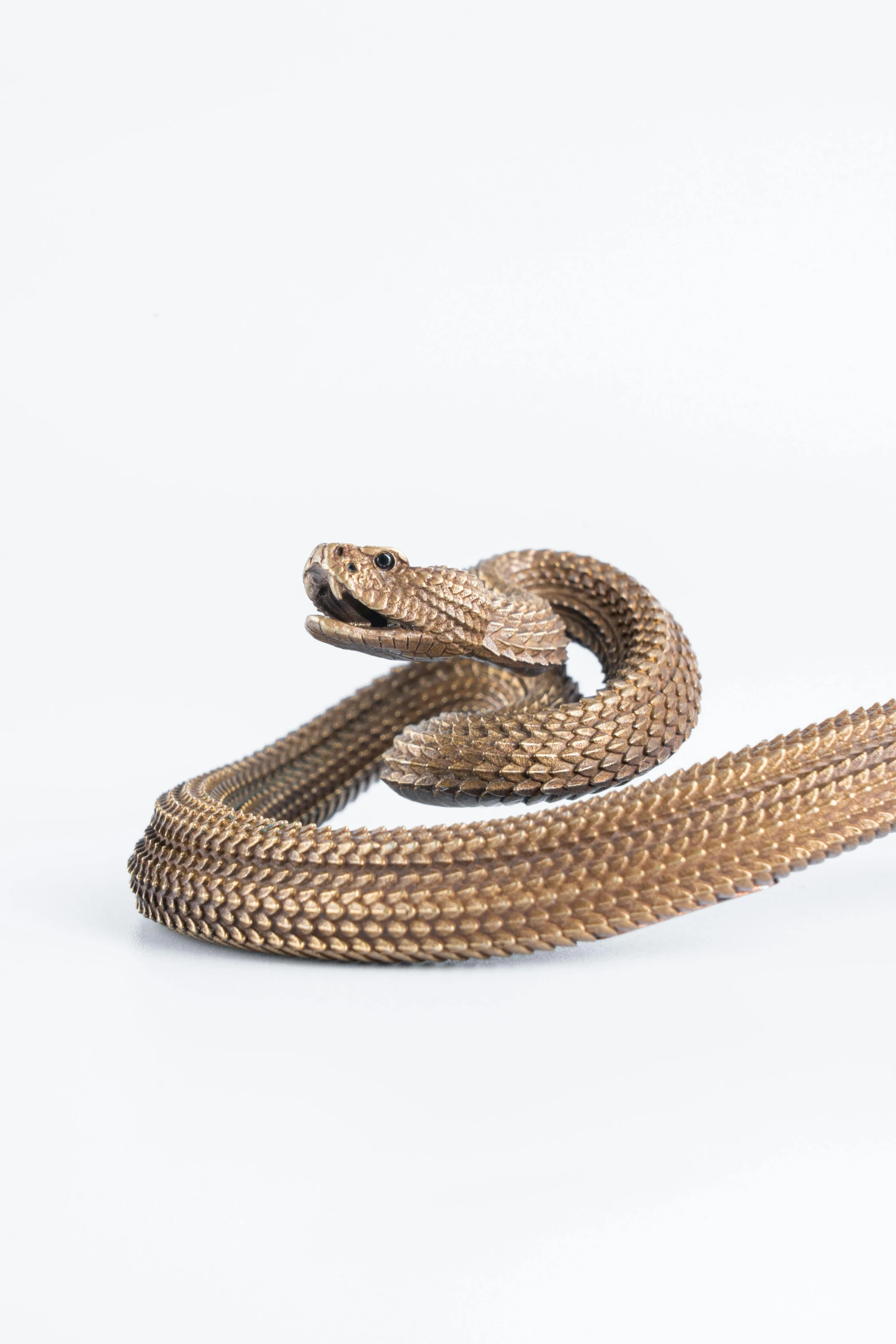 a snake on white background with no image