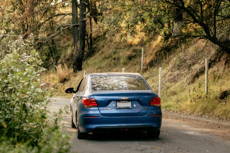 the back end of a blue car on a narrow road in a forest