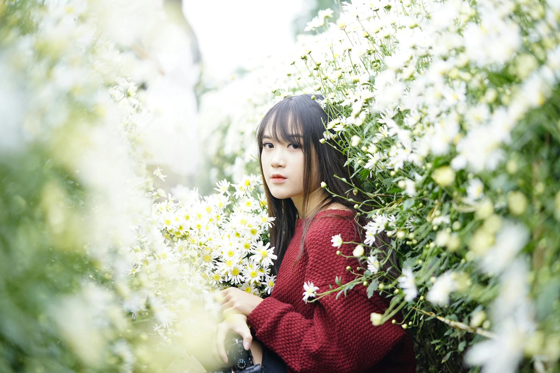 woman in red sweater kneeling by bushes with white flowers