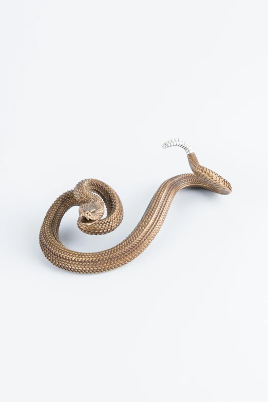 a snake that has an entwined body