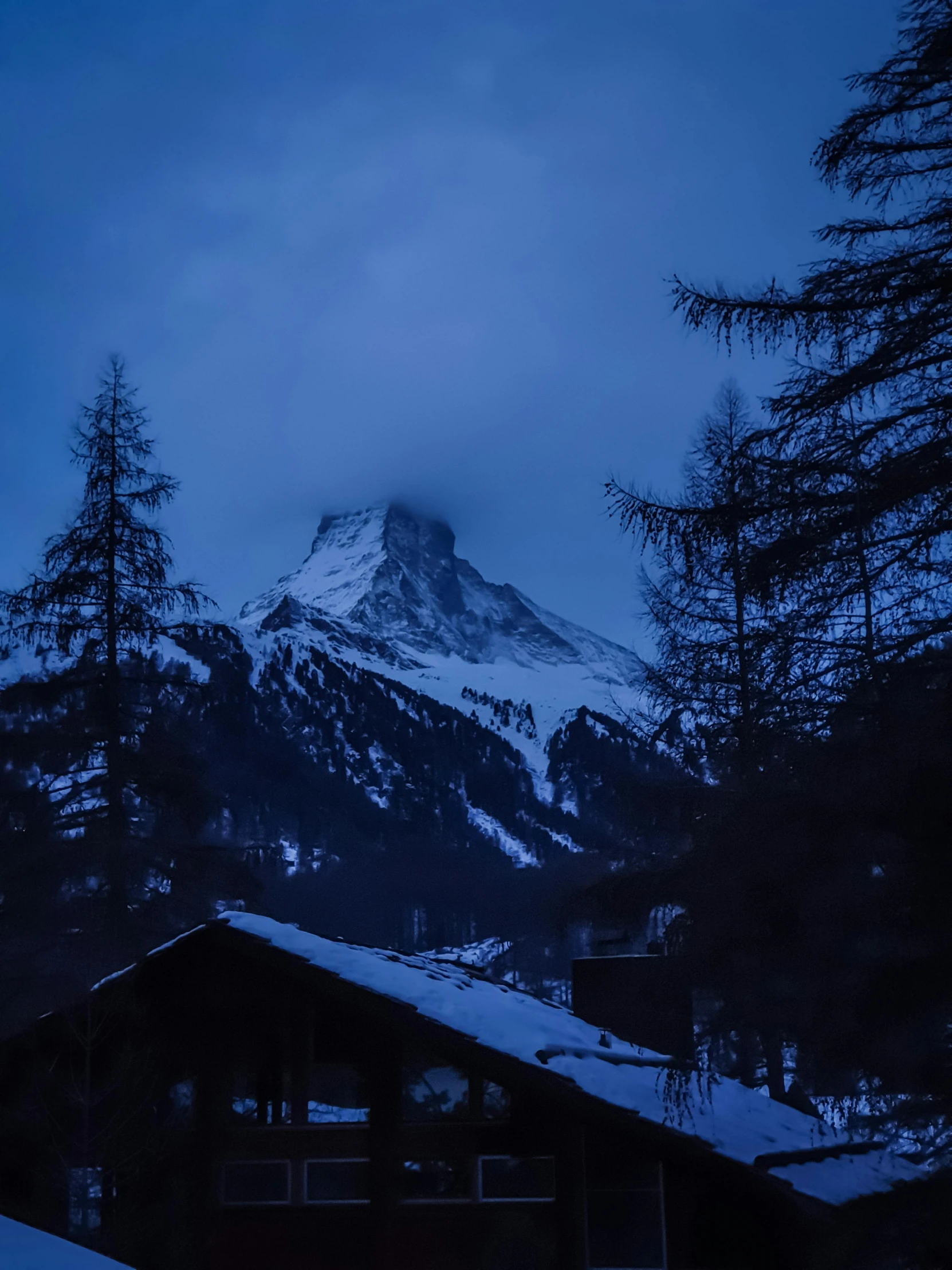 a snowy mountain with lots of trees in front of it