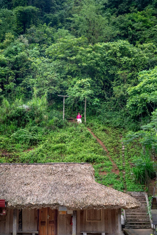 a green area with houses and stairs next to the hill