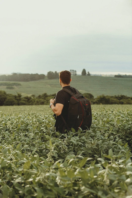 a young man carrying a backpack in a field of plants