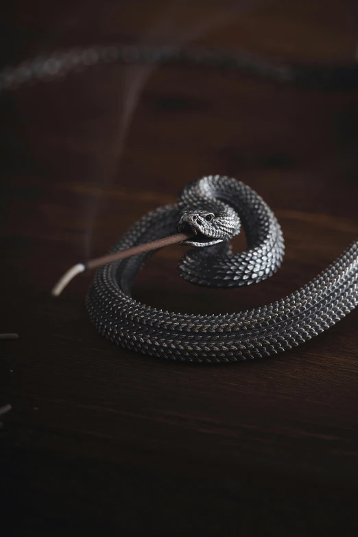 a black snake sits on a wooden table