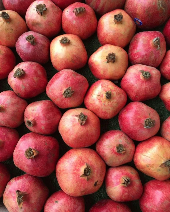 red apples with brown spots and some green on top