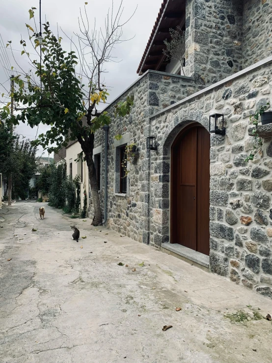 a cobblestone building with a door and a tree on the street