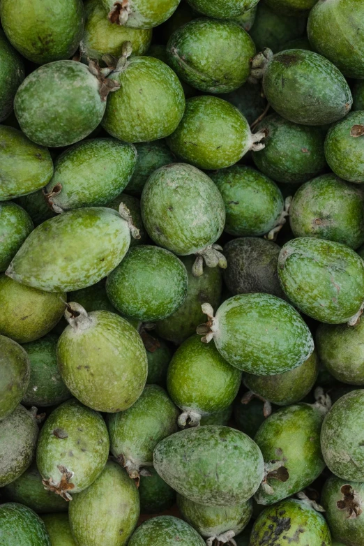 green fruit with brown spots that is stacked on top