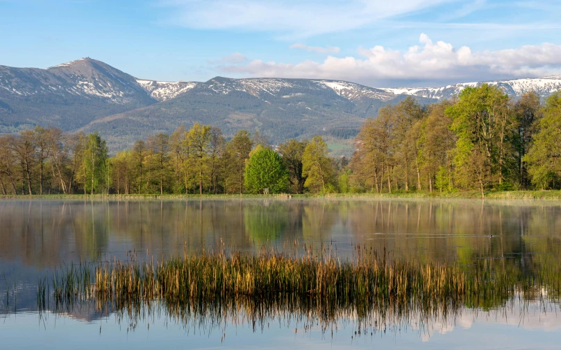 a body of water with trees and mountains in the background