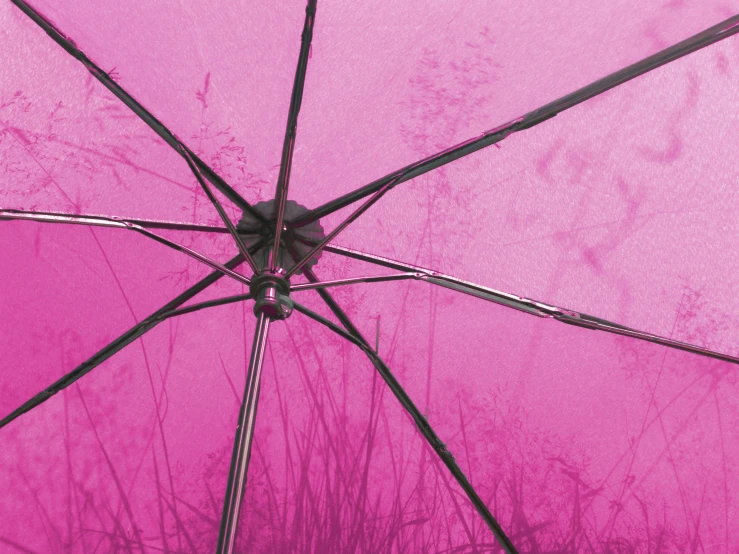 a closeup image of a pink umbrella opened