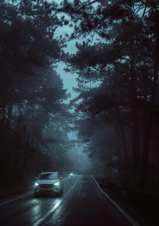 a car is driving through a wooded area at night