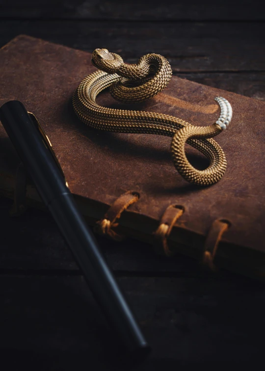 a gold colored snake sitting on top of a book