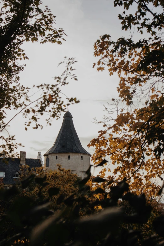 the view of a building through some leaves