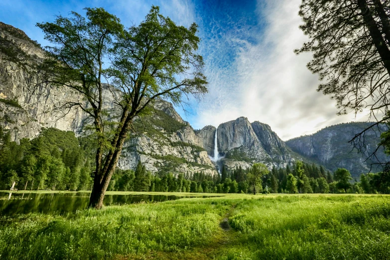 the grass field is surrounded by trees and mountains