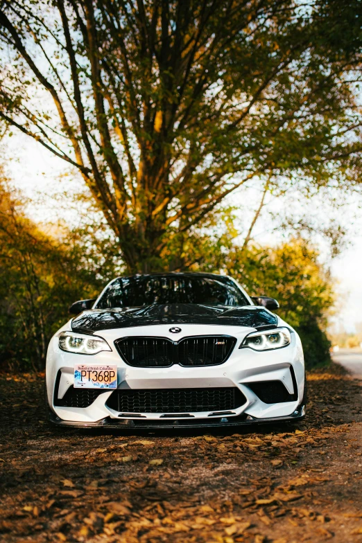 the bmw z4 is parked in front of a tree