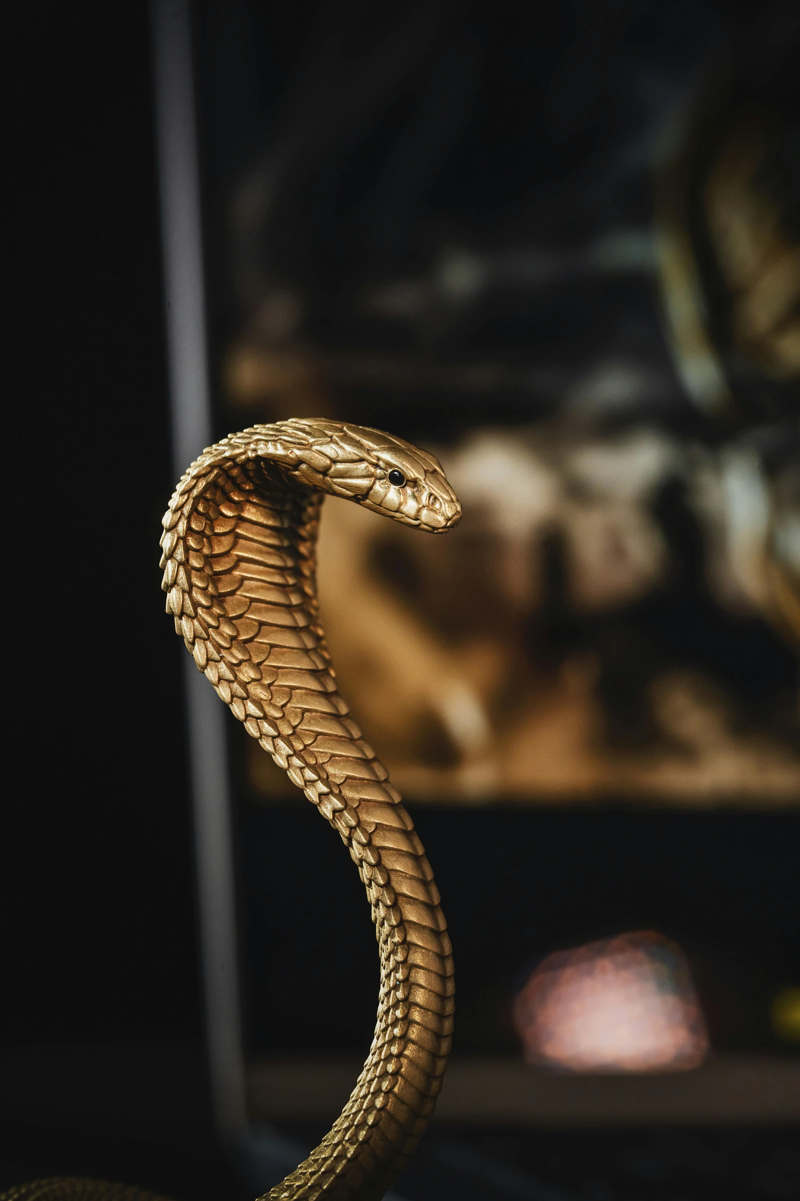 a close up of a snake's tail with its head turned to the side