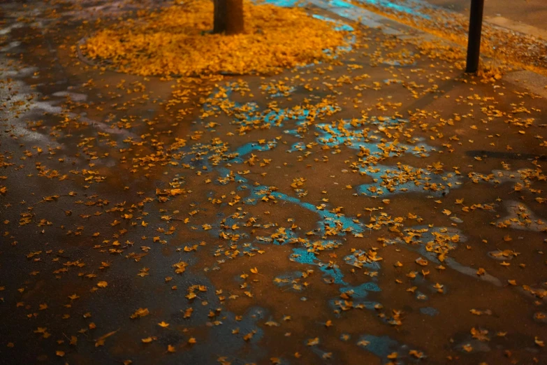 a road on a rainy night with the ground covered in leaves