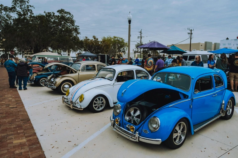 classic volkswagens lined up at a car show