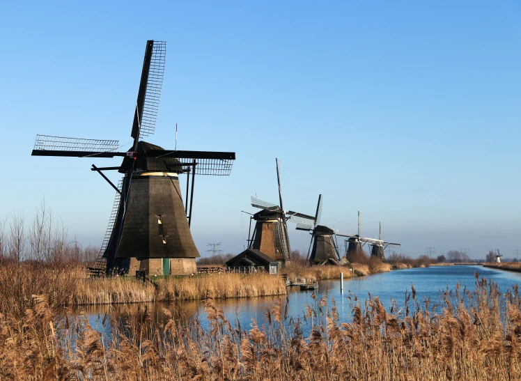 several windmills next to a small body of water