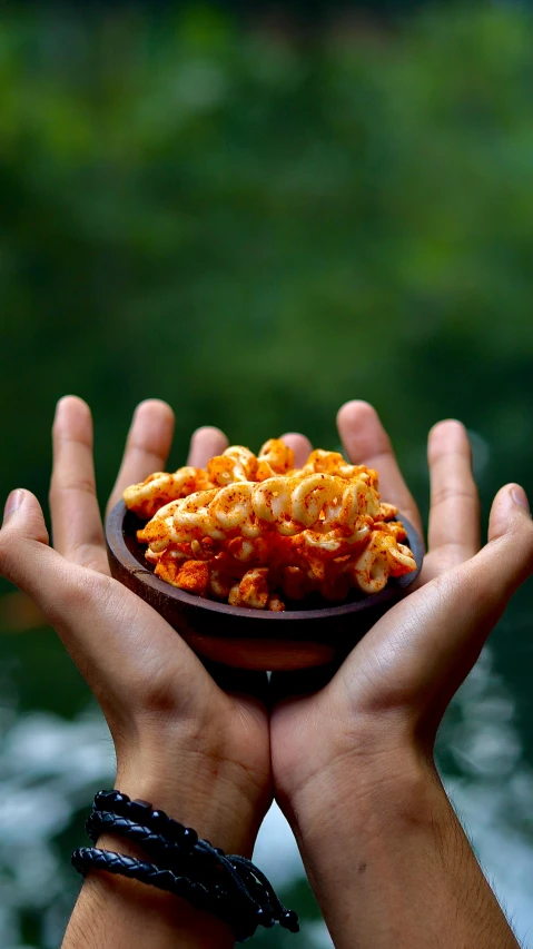 person holding plate with food in front of body of water