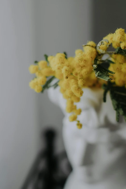 the small yellow flowers in the vase are coming out of the water