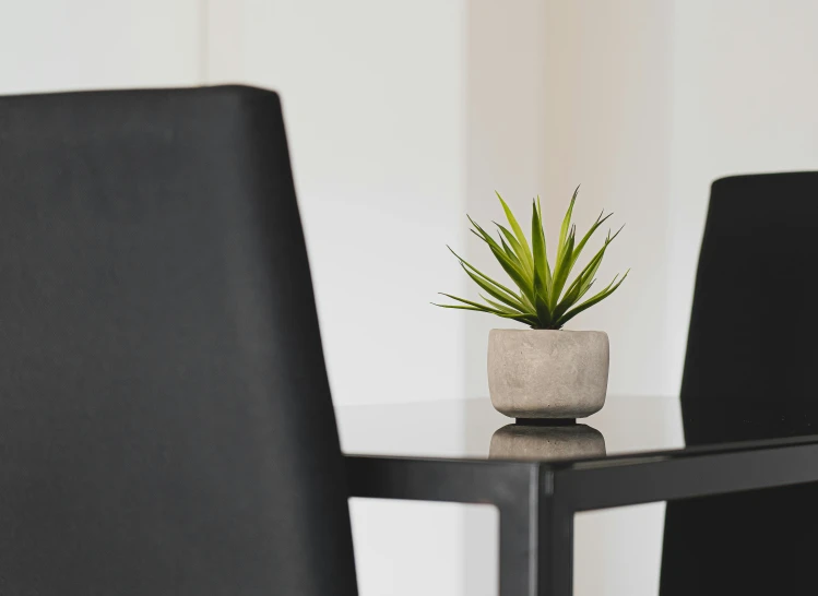 a table with a plant and some chairs