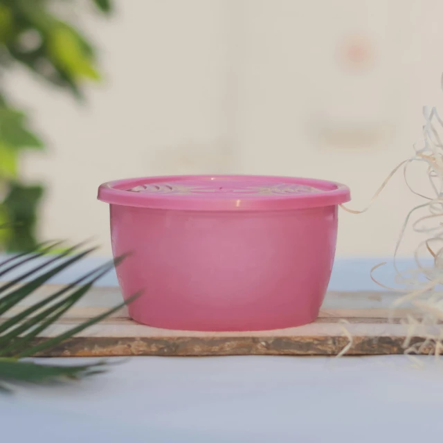 a pink bowl sitting next to an plant