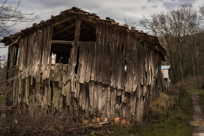 the old, wooden structure of a house sits in a wooded area