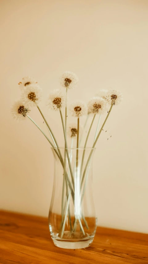 a clear vase filled with lots of fluffy flowers