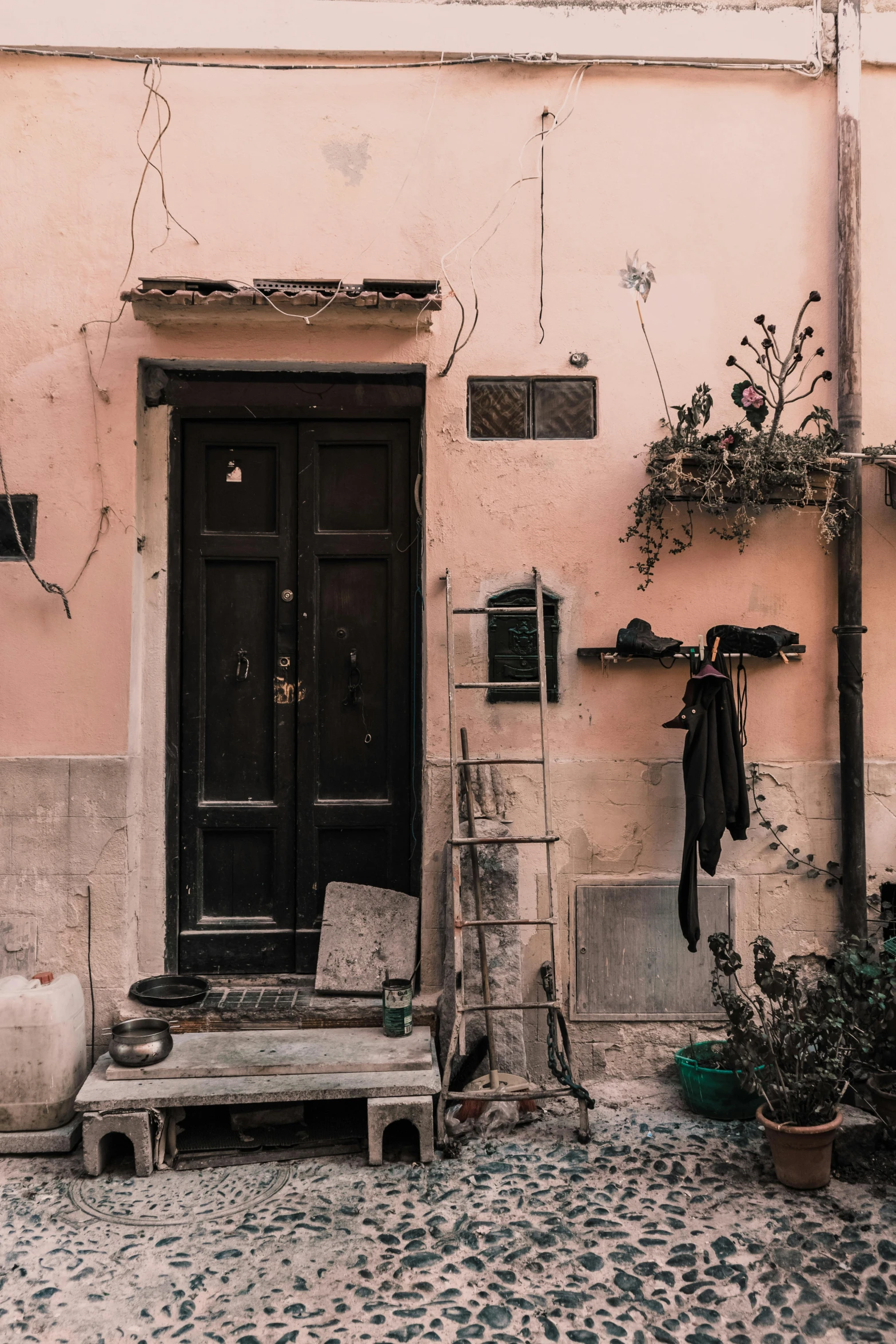 this is a house with a flower pot and a door