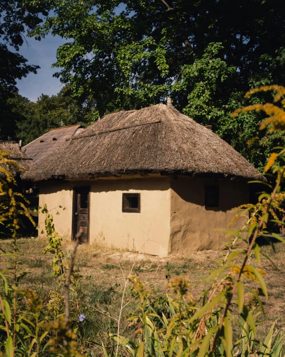 the straw house is located in a clearing