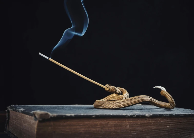 a burning pipe on top of a book and a cigarette