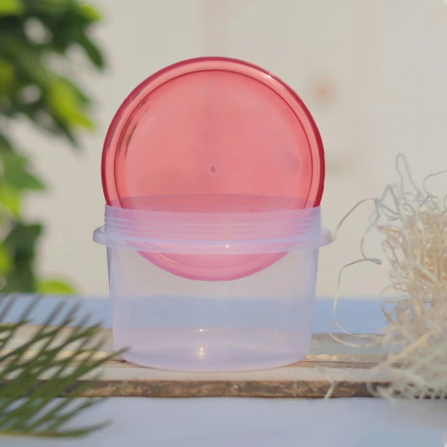 a pink plastic container with lid sits on a plate near some leaves