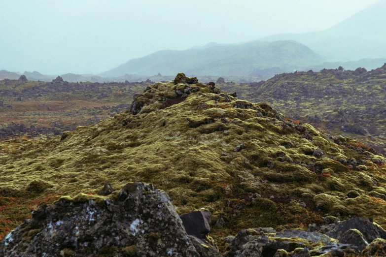 a large hill filled with lots of green vegetation